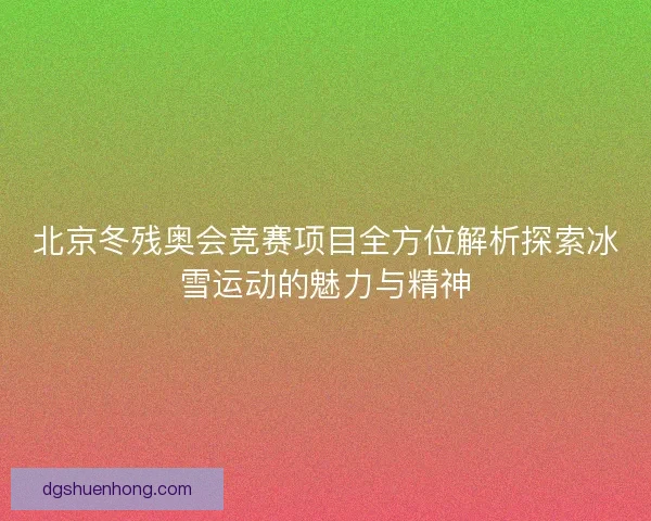 北京冬残奥会竞赛项目全方位解析探索冰雪运动的魅力与精神